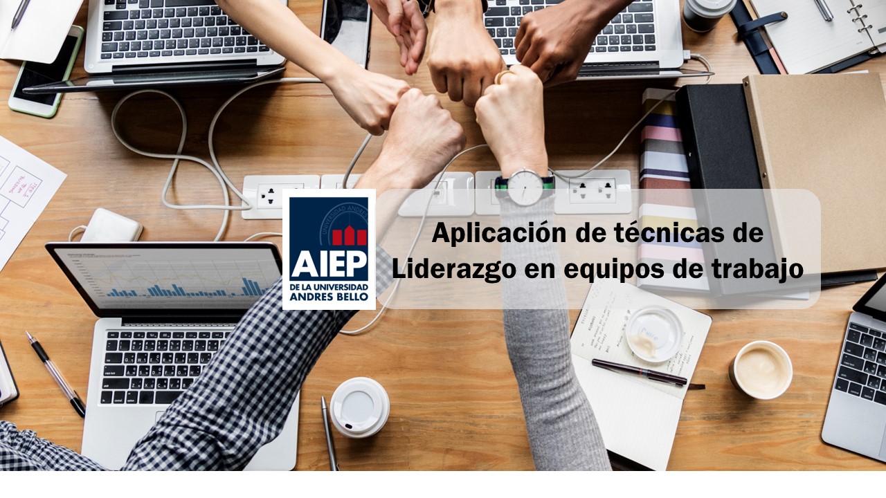 Aplicación de técnicas de Liderazgo en equipos de trabajo