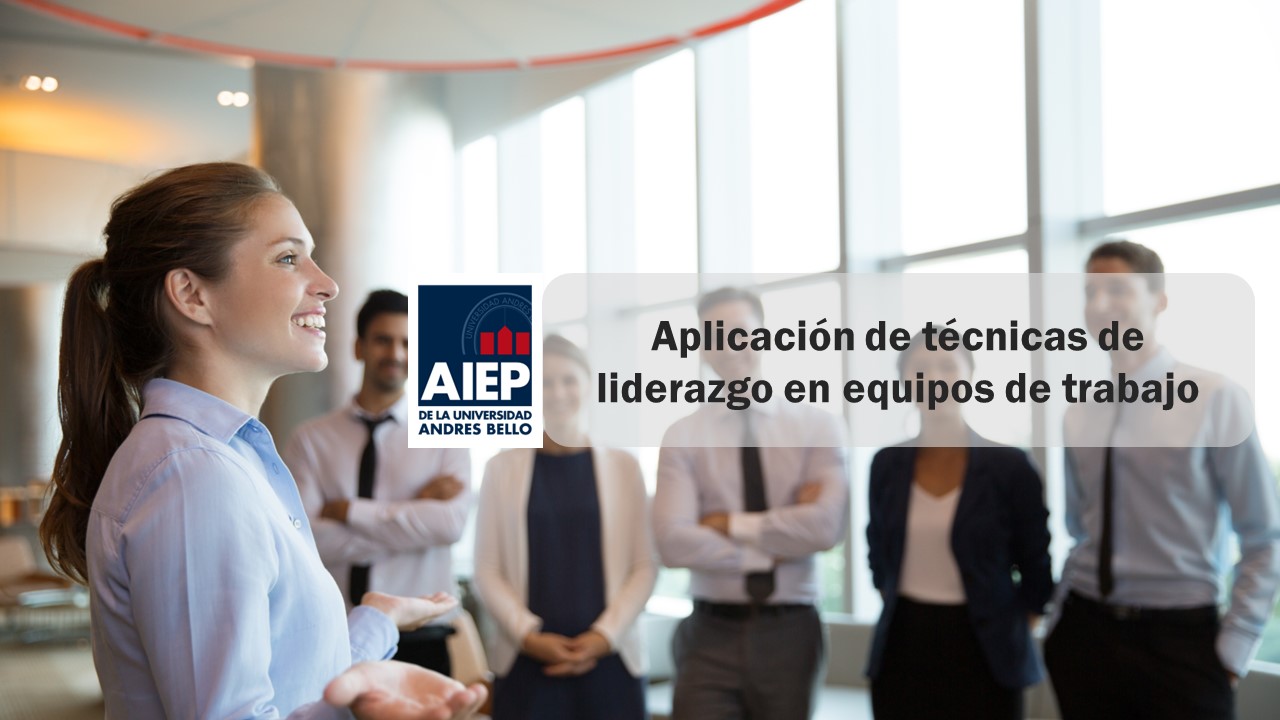 Aplicación de técnicas de Liderazgo en equipos de trabajo 