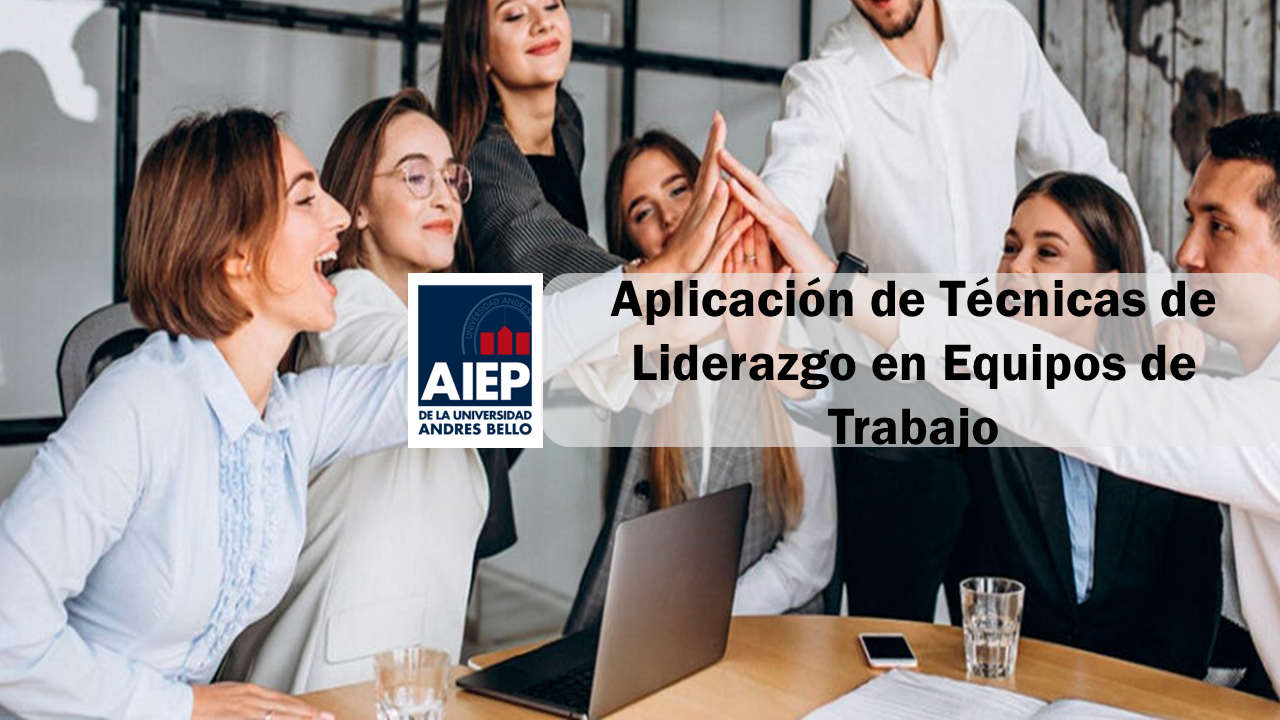 Aplicación de Técnicas de Liderazgo en Equipos de Trabajo