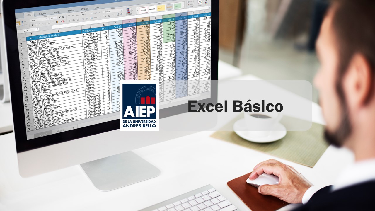 Aplicación de microsoft Excel nivel básico en entornos laborales 
