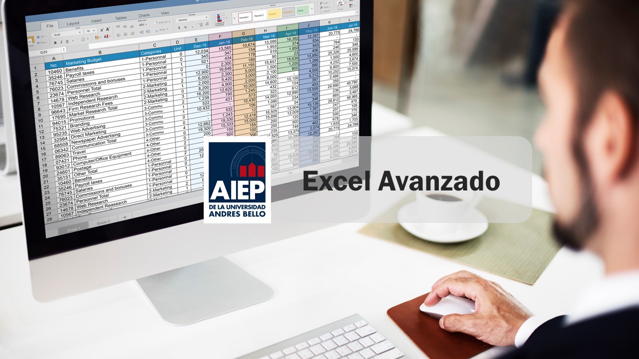 Aplicación de Microsoft Excel nivel Avanzado en entornos laborales